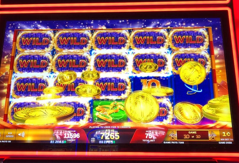 Play buffalo spirit slot machine online free Play buffalo spirit slot machine online free