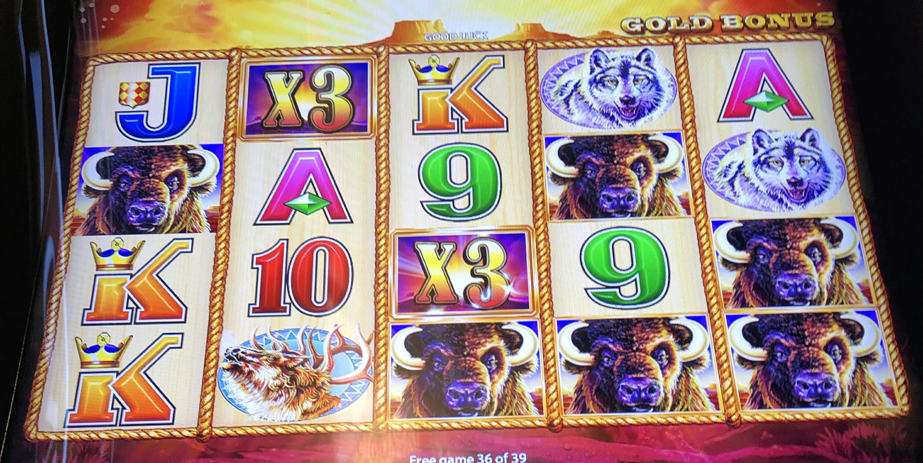 Buffalo stampede slot game