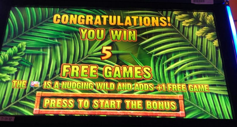 Jungle Riches by IGT Free Spin Bonus