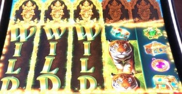 Golden Jungle Grand by IGT big win three wilds