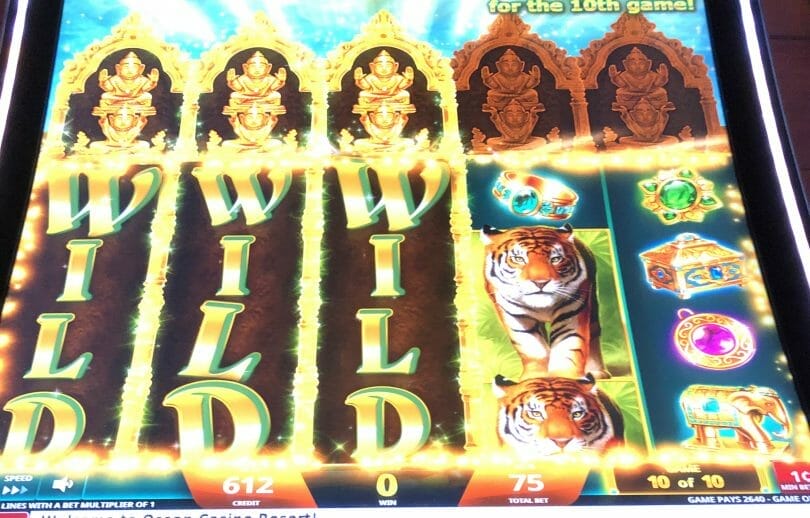 Golden Jungle Grand by IGT big win three wilds