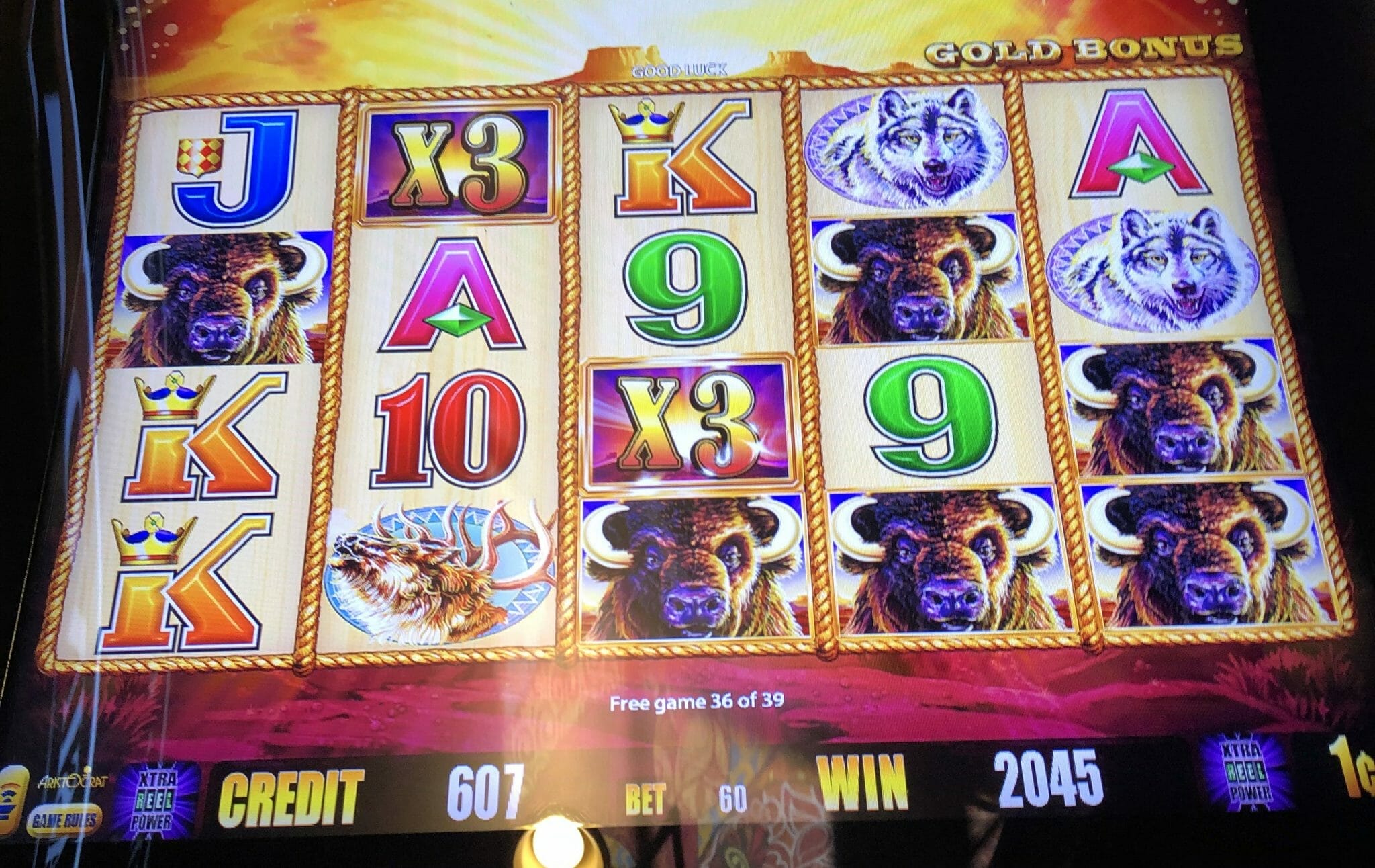 free buffalo gold slot machine