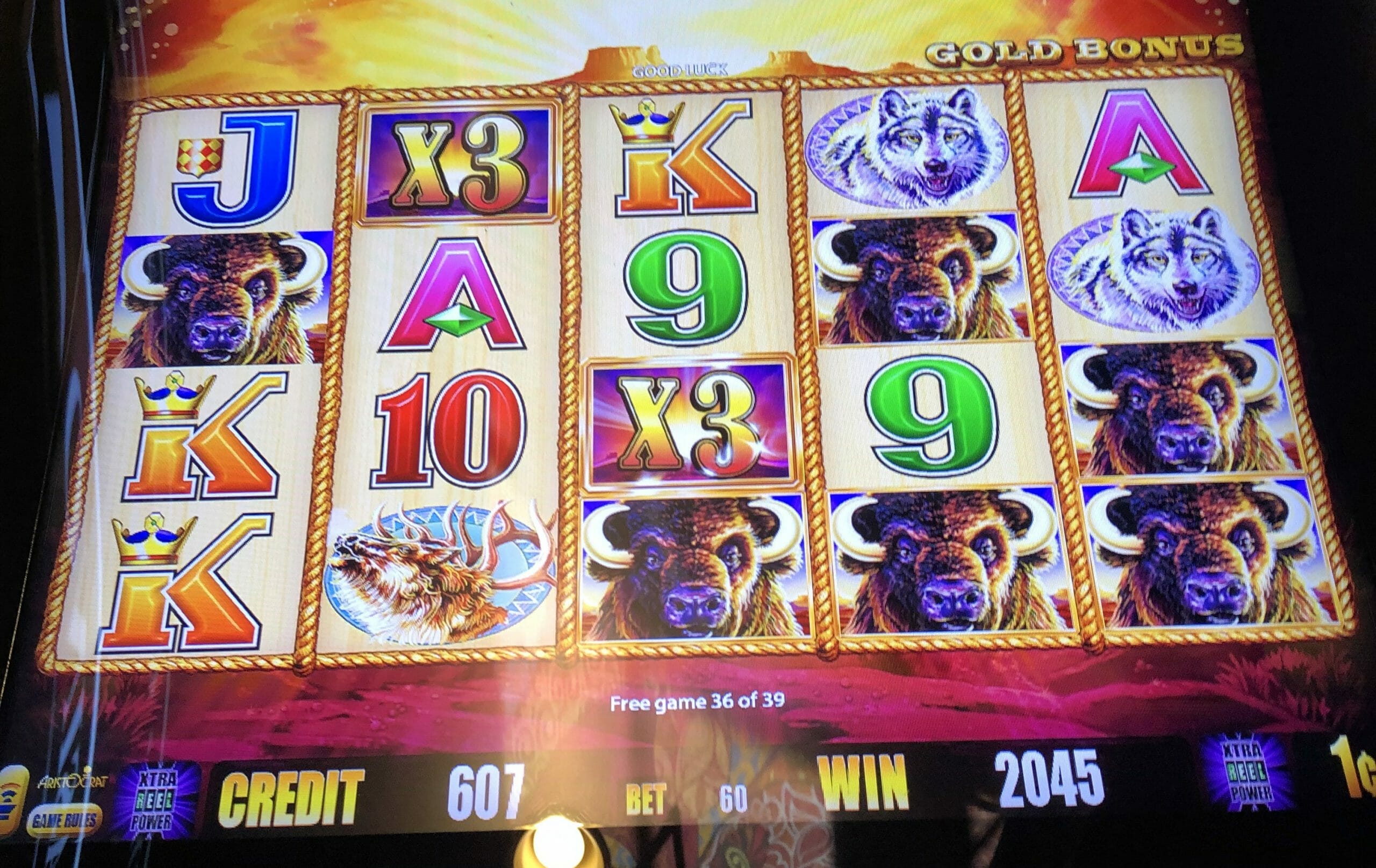 buffalo gold slot machine graton casino