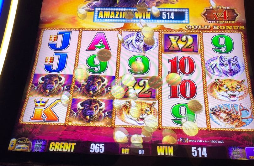 Buffalo chief slot machine las vegas