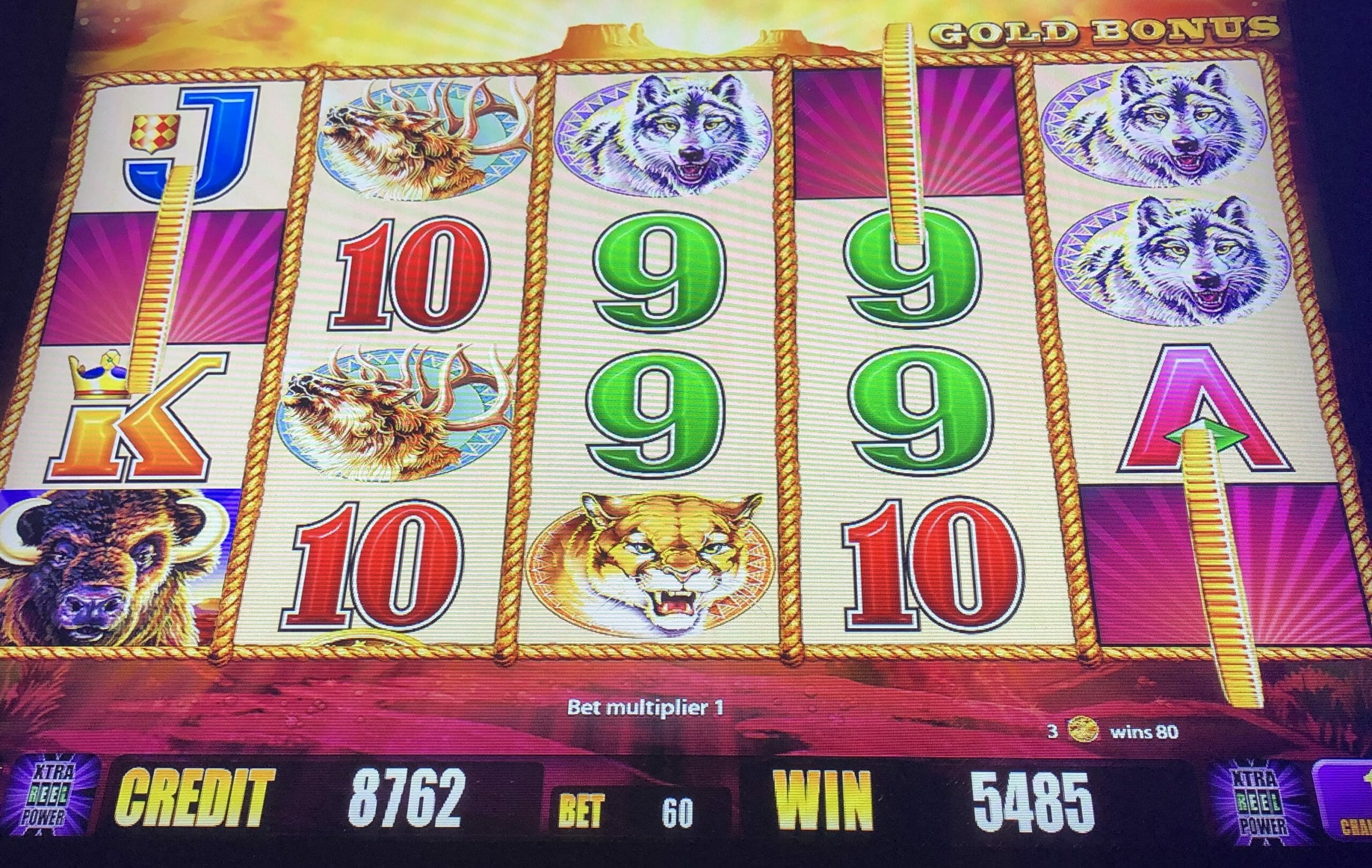 buffalo gold free slots