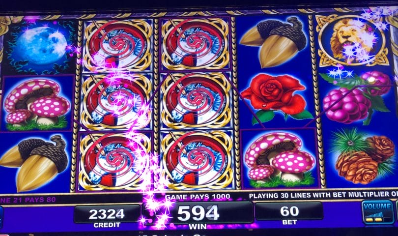 tangiers casino 50 no deposit bonus