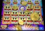 Pac Man Wild Edition by ainsworth full screen wilds base game