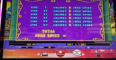 Stinkin' Rich by IGT bonus trigger