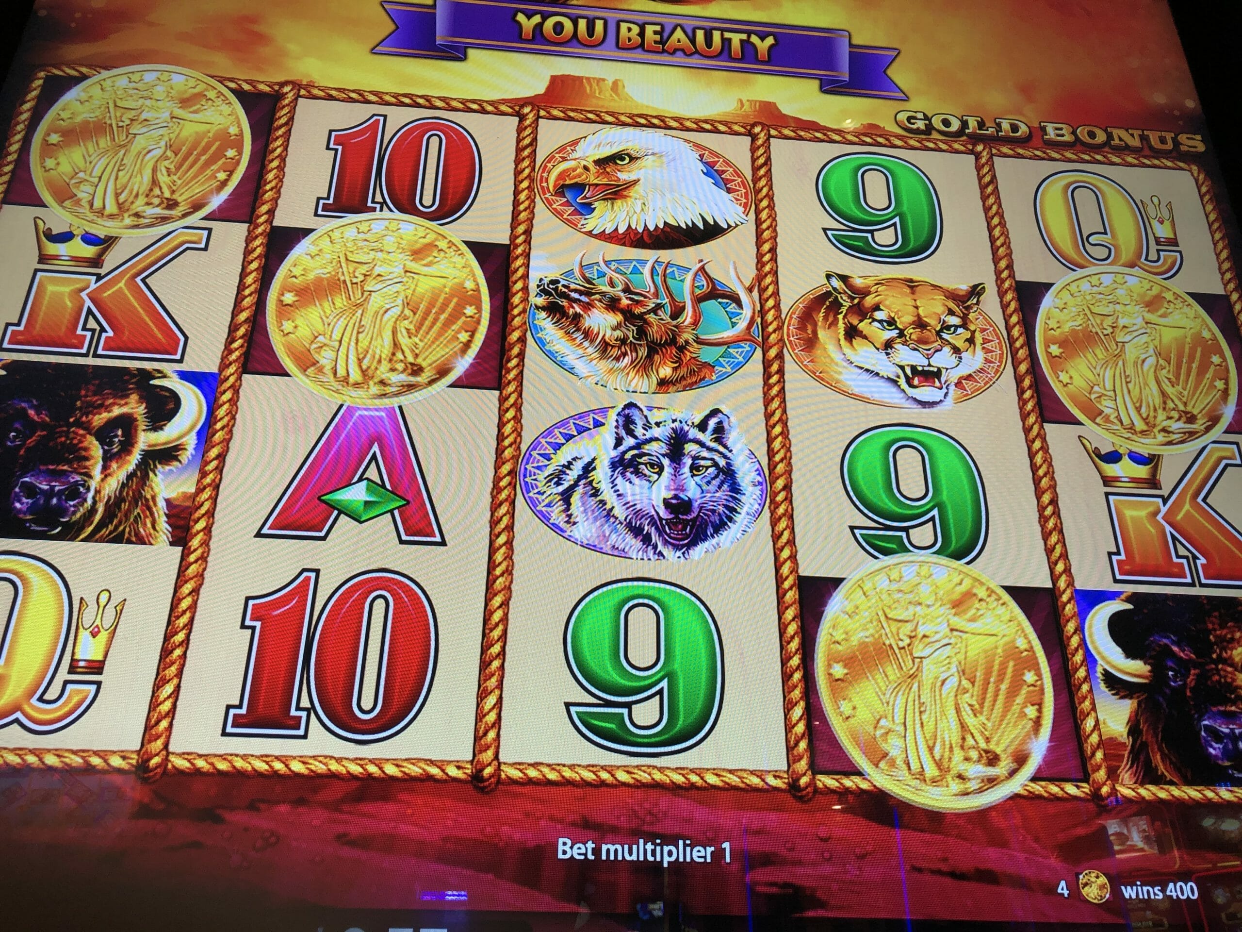 All About the Buffalo Slot Machine Series Know Your Slots