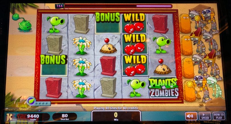 Plants vs Zombies 3D by Spielo two bonus symbols