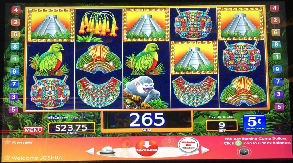 Jungle Wild by WMS four bonus symbols