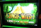 Jungle Wild by WMS top box