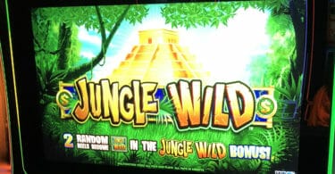 Jungle Wild by WMS top box