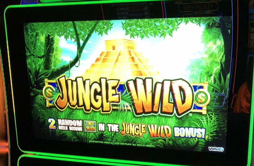 Jungle Wild by WMS top box