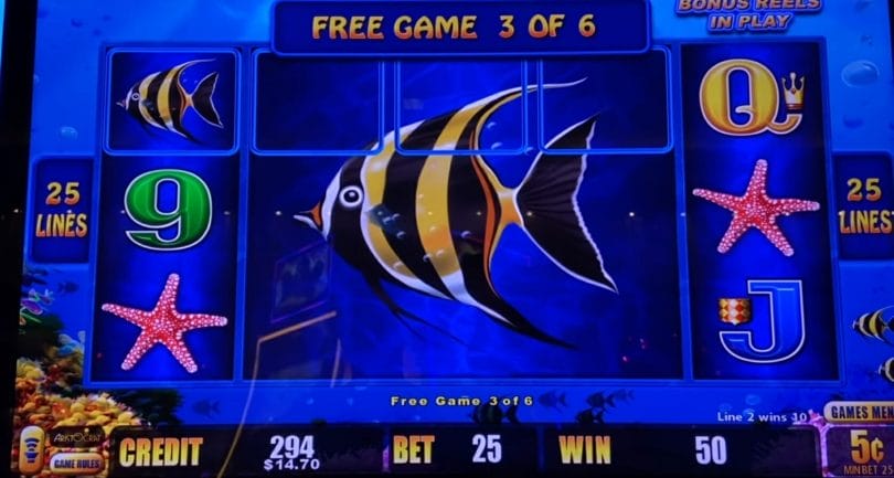Flying Pig Casino Hamilton Mt | Barons Bus Slot Machine