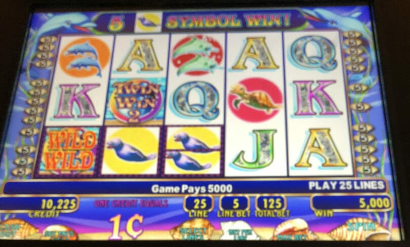 Twin Win 2 by IGT $50 line hit