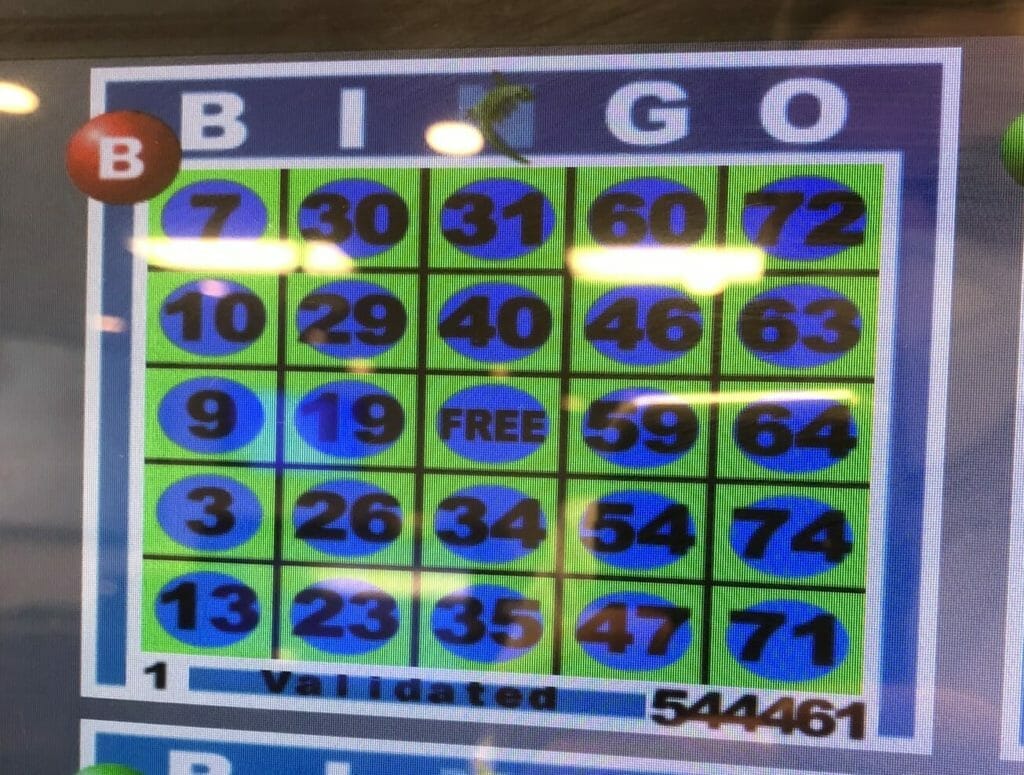 Full card bingo at the Plaza