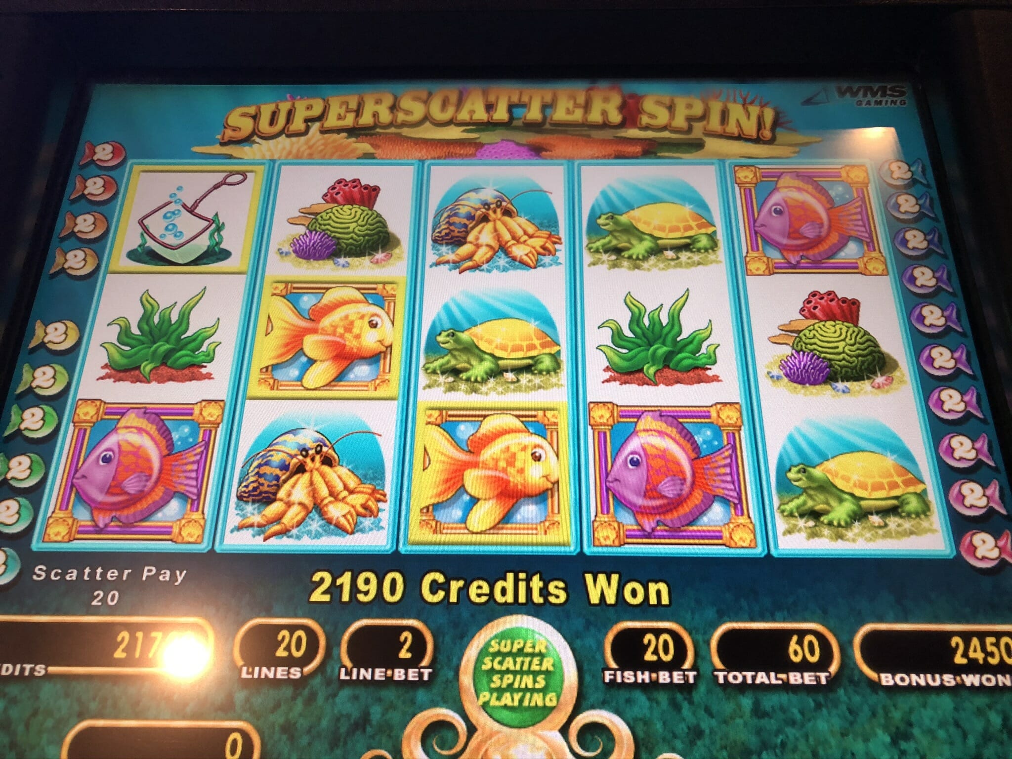goldfish deluxe slot machine