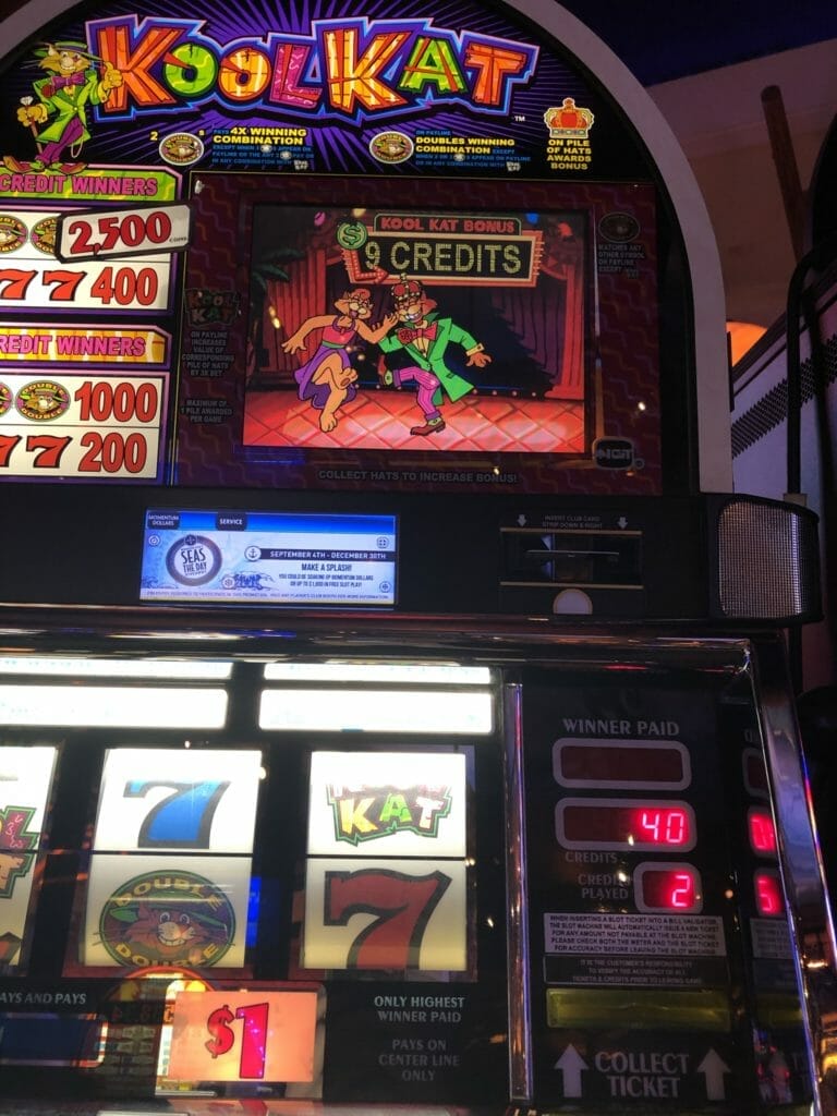 Kool Kat by IGT 9 credit bonus won