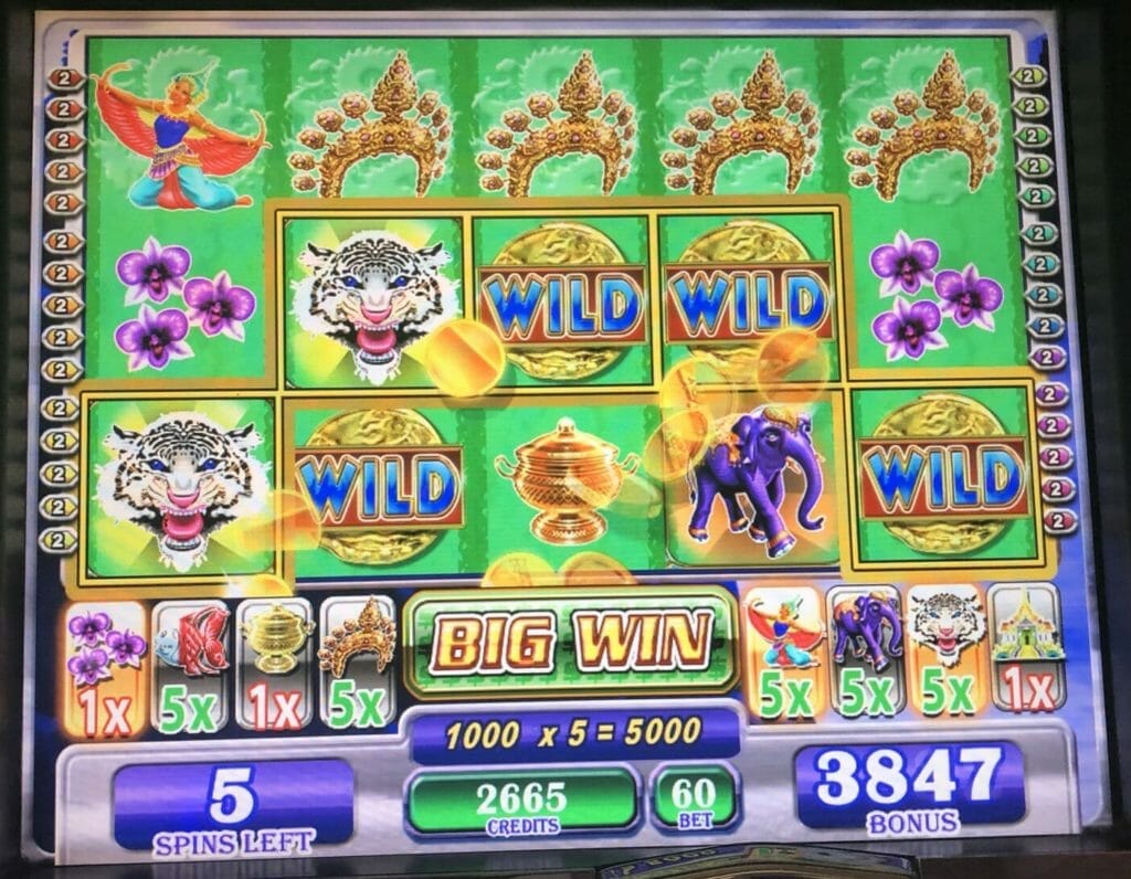 Thai Treasures by WMS bonus line hit