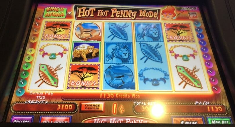 Hot Hot Penny King of Africa by WMS bonus triggered