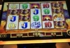 Buffalo Gold Revolution by Aristocrat big win
