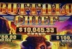 Buffalo Chief by Aristocrat progressives