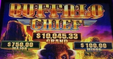 Buffalo Chief by Aristocrat progressives