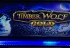 Timber Wolf Gold by Aristocrat logo