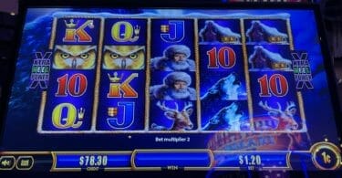 Timber Wolf Gold by Aristocrat two owl symbols