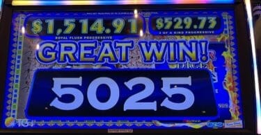 Pharoah's Fortune by IGT big win