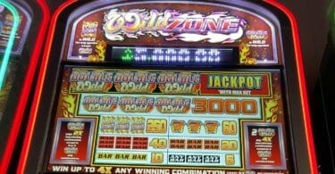 Wild Zone by WMS pay table and logo