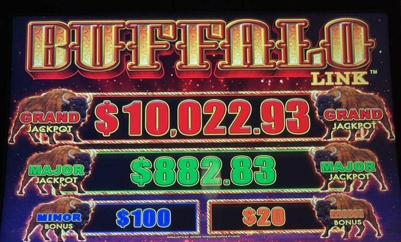 Buffalo Link by Aristocrat jackpots