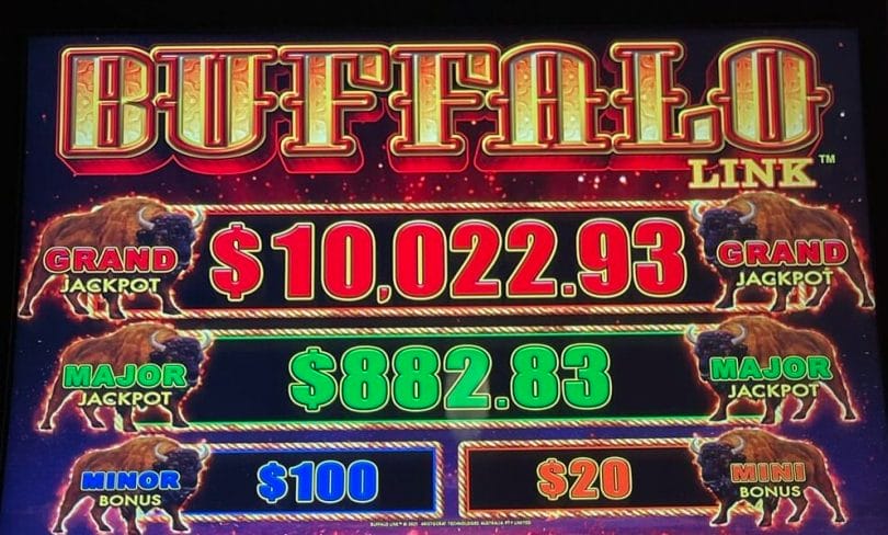 Buffalo Link by Aristocrat jackpots