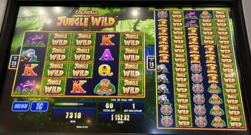 Colossal Jungle Wild by Scientific Games 100x line hit