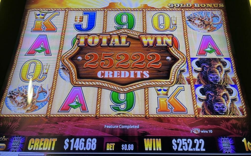 Buffalo Gold by Aristocrat 400x bonus win