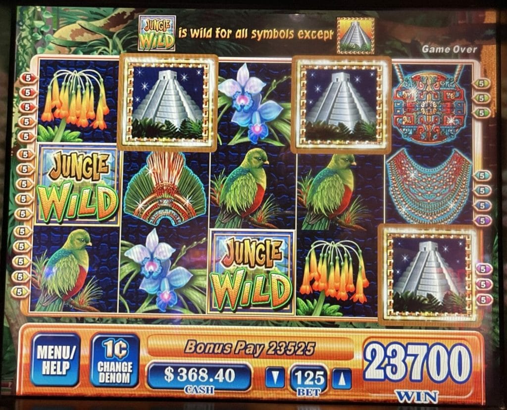 Jungle Wild bonus outcome