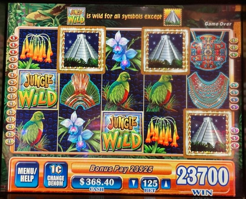 Jungle Wild bonus outcome
