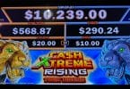 Cash Xtreme Rising Twin Tigers by Aristocrat logo and jackpots