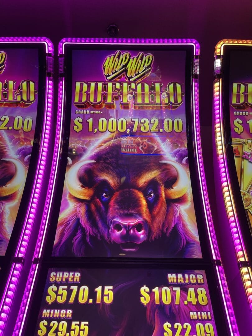 Wild Wild Buffalo by Aristocrat logo and top progressive