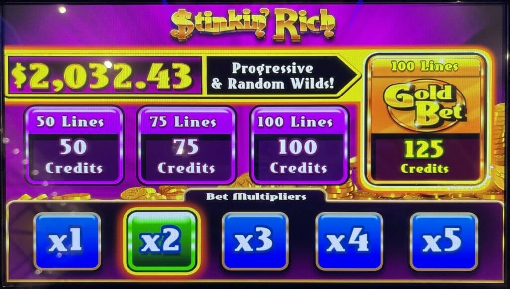 Stinkin' Rich Skunks Gone Wild by IGT bet panel