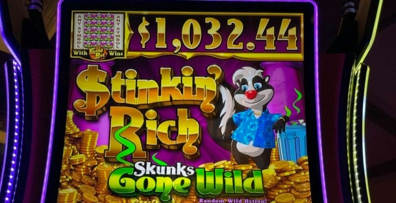 Stinkin' Rich Skunks Gone Wild by IGT logo with progressive
