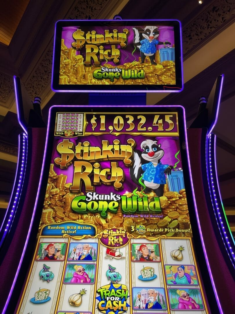 Stinkin' Rich Skunks Gone Wild by IGT logo