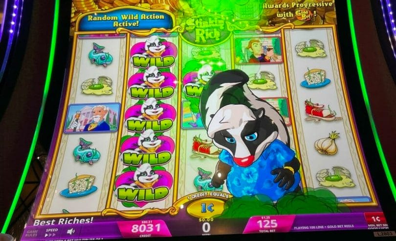 Stinkin' Rich Skunks Gone Wild by IGT random wild feature