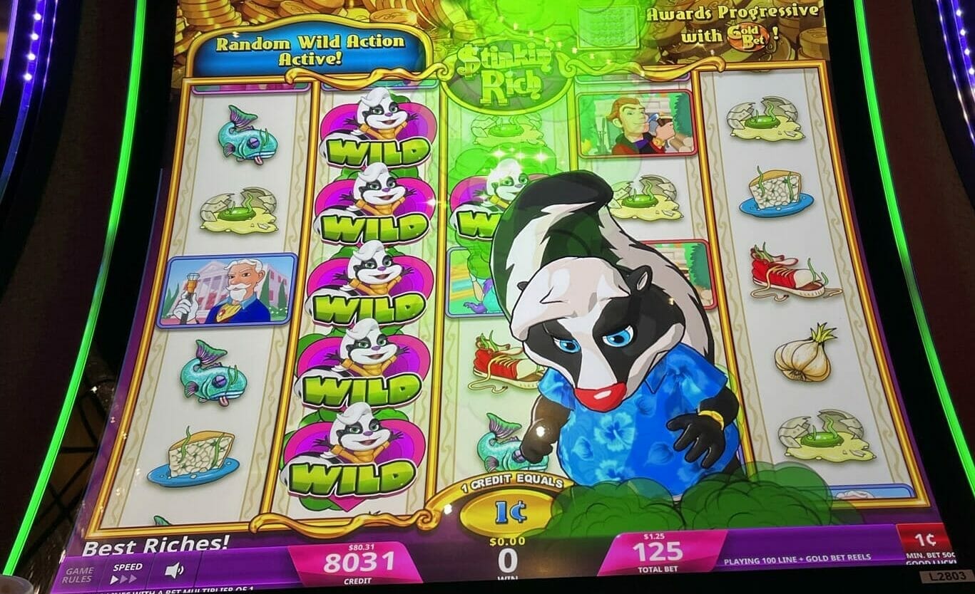 Stinkin’ Rich Skunks Gone Wild: A Sequel That Doesn’t Skunk You on Pays