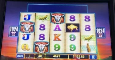 Double Buffalo Spirit by WMS 100x bonus