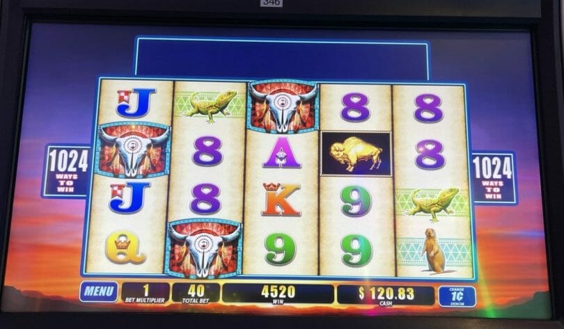 Double Buffalo Spirit by WMS 100x bonus