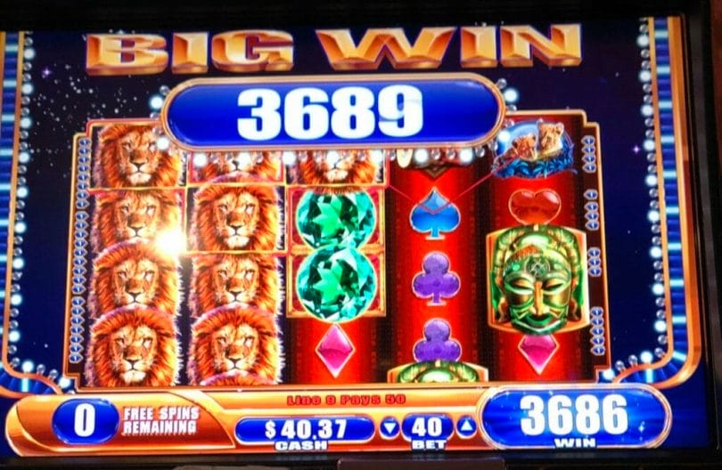 King of Africa by WMS almost 100x bonus