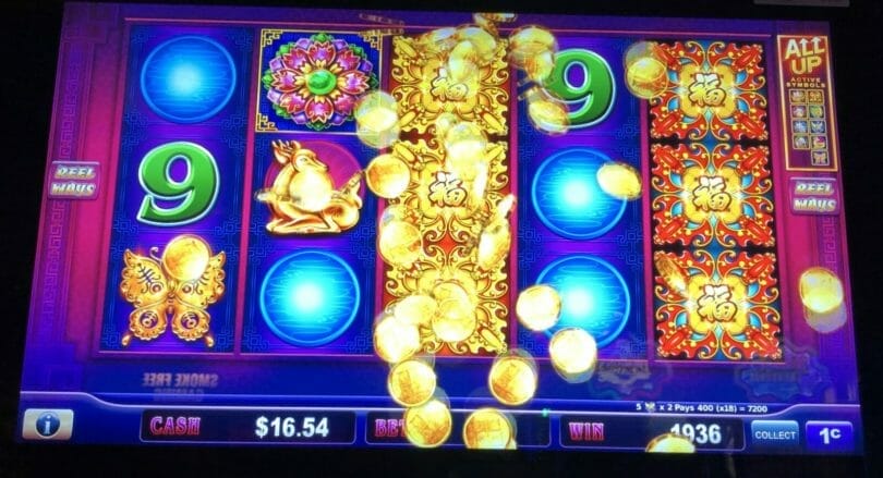 Duo Fu Duo Cai Flower Riches by Shuffle Master big line hit