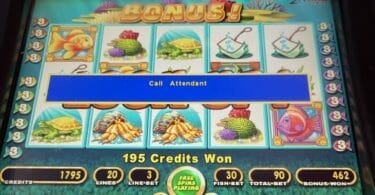 Gold Fish slot machine breakdown at Plaza
